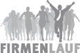 Logo Thüringer Wald Firmenlauf – Zur Internetseite